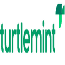 Turtlemint Fintech Solutions logo
